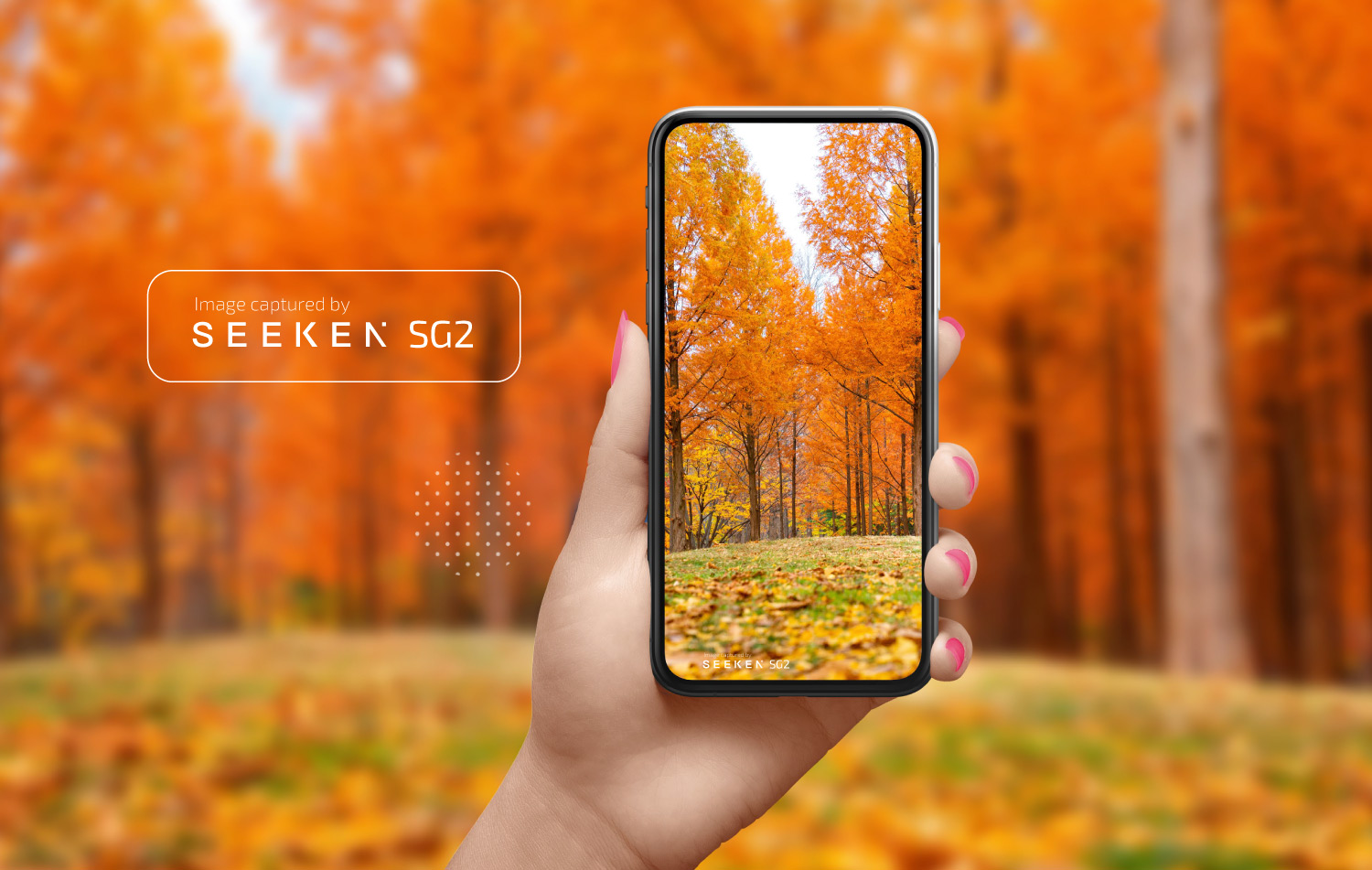 seeken1-main
